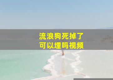 流浪狗死掉了可以埋吗视频