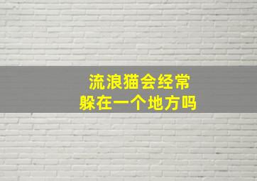 流浪猫会经常躲在一个地方吗