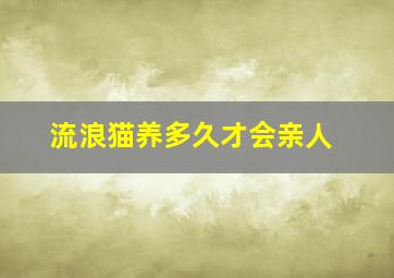 流浪猫养多久才会亲人