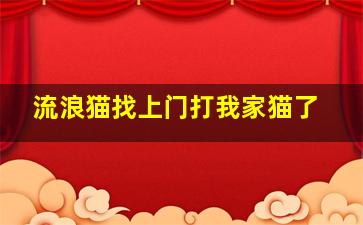 流浪猫找上门打我家猫了