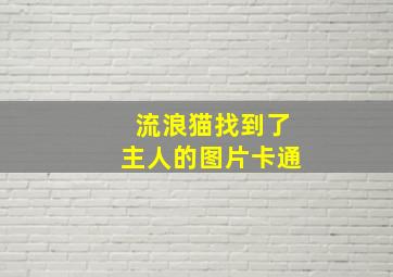 流浪猫找到了主人的图片卡通