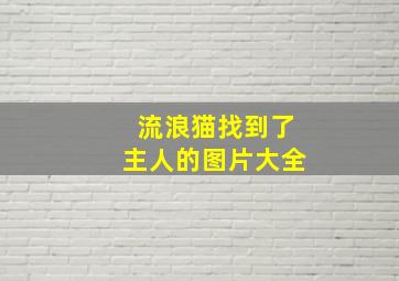 流浪猫找到了主人的图片大全