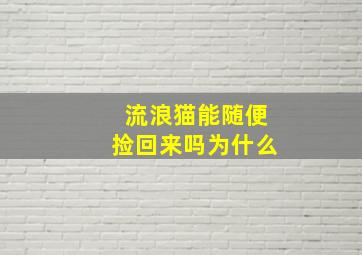 流浪猫能随便捡回来吗为什么