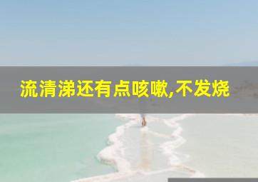 流清涕还有点咳嗽,不发烧