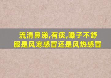 流清鼻涕,有痰,嗓子不舒服是风寒感冒还是风热感冒