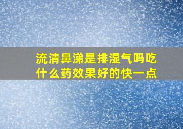 流清鼻涕是排湿气吗吃什么药效果好的快一点