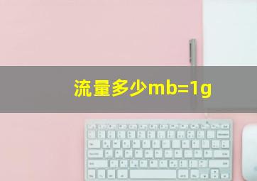 流量多少mb=1g