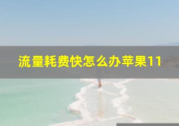 流量耗费快怎么办苹果11