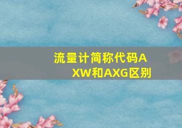 流量计简称代码AXW和AXG区别