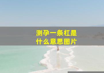 测孕一条杠是什么意思图片