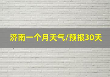 济南一个月天气/预报30天