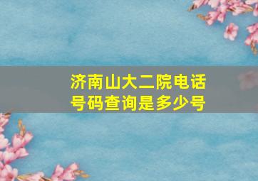 济南山大二院电话号码查询是多少号