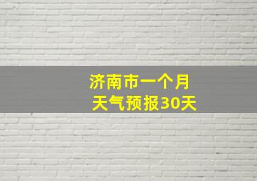 济南市一个月天气预报30天