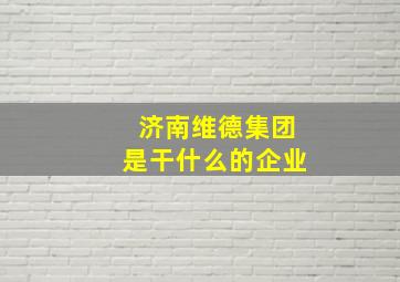 济南维德集团是干什么的企业