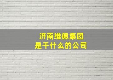 济南维德集团是干什么的公司