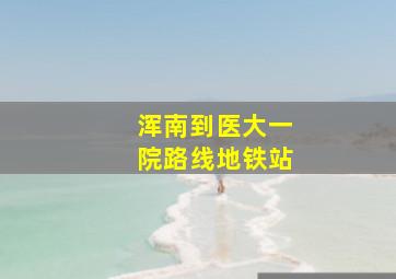 浑南到医大一院路线地铁站