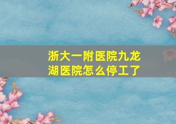 浙大一附医院九龙湖医院怎么停工了