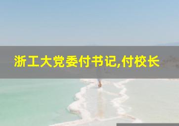 浙工大党委付书记,付校长