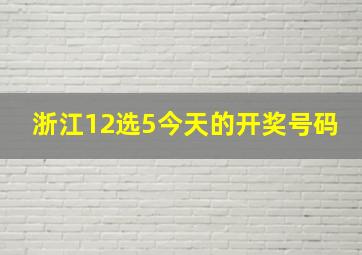 浙江12选5今天的开奖号码