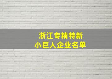 浙江专精特新小巨人企业名单