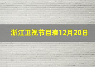 浙江卫视节目表12月20日