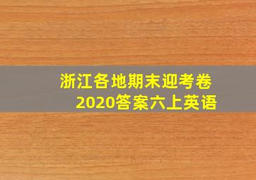 浙江各地期末迎考卷2020答案六上英语