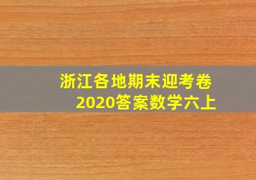 浙江各地期末迎考卷2020答案数学六上