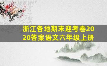 浙江各地期末迎考卷2020答案语文六年级上册