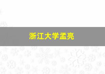 浙江大学孟亮