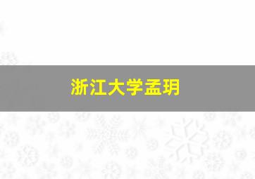 浙江大学孟玥