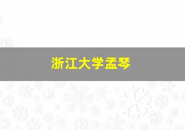 浙江大学孟琴