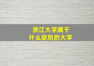 浙江大学属于什么级别的大学