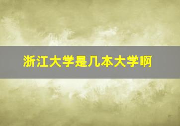 浙江大学是几本大学啊