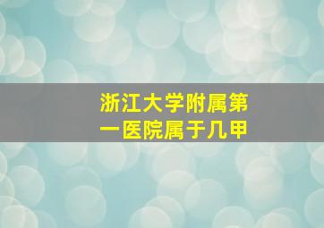 浙江大学附属第一医院属于几甲