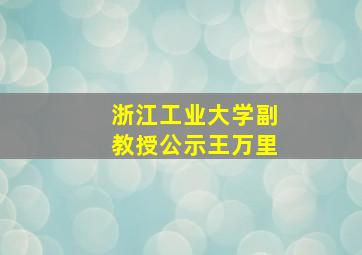 浙江工业大学副教授公示王万里