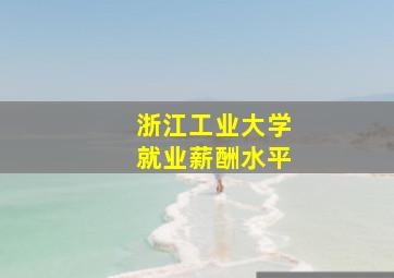 浙江工业大学就业薪酬水平