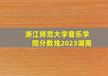 浙江师范大学音乐学院分数线2023湖南