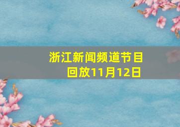 浙江新闻频道节目回放11月12日