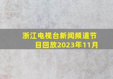 浙江电视台新闻频道节目回放2023年11月