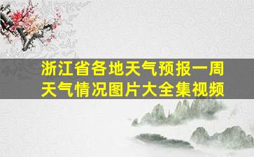 浙江省各地天气预报一周天气情况图片大全集视频