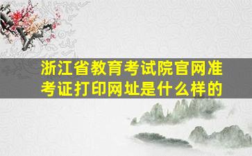 浙江省教育考试院官网准考证打印网址是什么样的