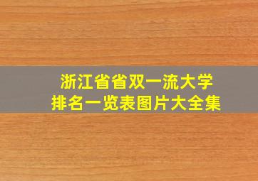 浙江省省双一流大学排名一览表图片大全集