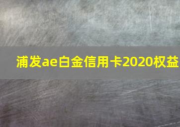 浦发ae白金信用卡2020权益