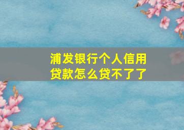 浦发银行个人信用贷款怎么贷不了了