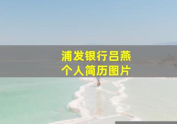 浦发银行吕燕个人简历图片