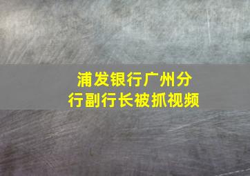 浦发银行广州分行副行长被抓视频