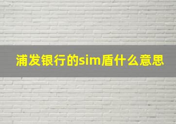 浦发银行的sim盾什么意思