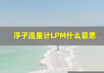 浮子流量计LPM什么意思