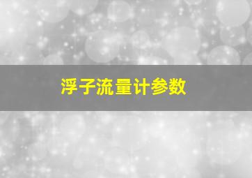 浮子流量计参数