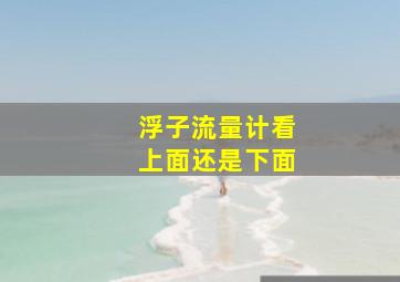 浮子流量计看上面还是下面